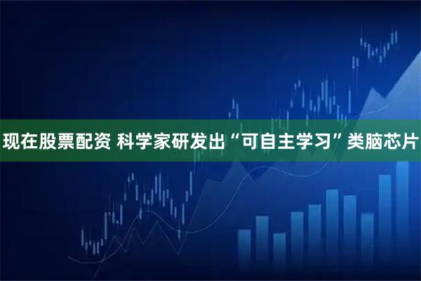 现在股票配资 科学家研发出“可自主学习”类脑芯片